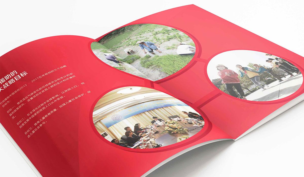 行動(dòng)援助年報(bào)內(nèi)頁