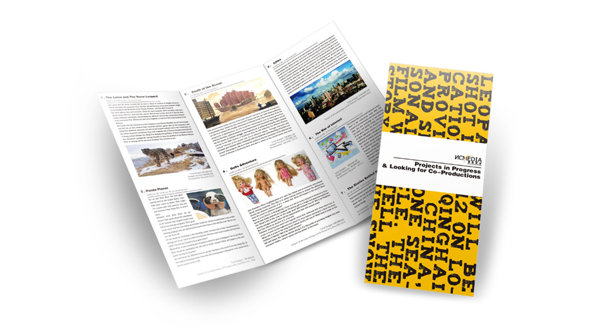 新影世紀折頁設(shè)計