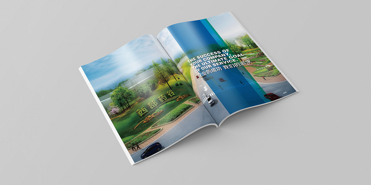 西部藥谷畫冊效果圖