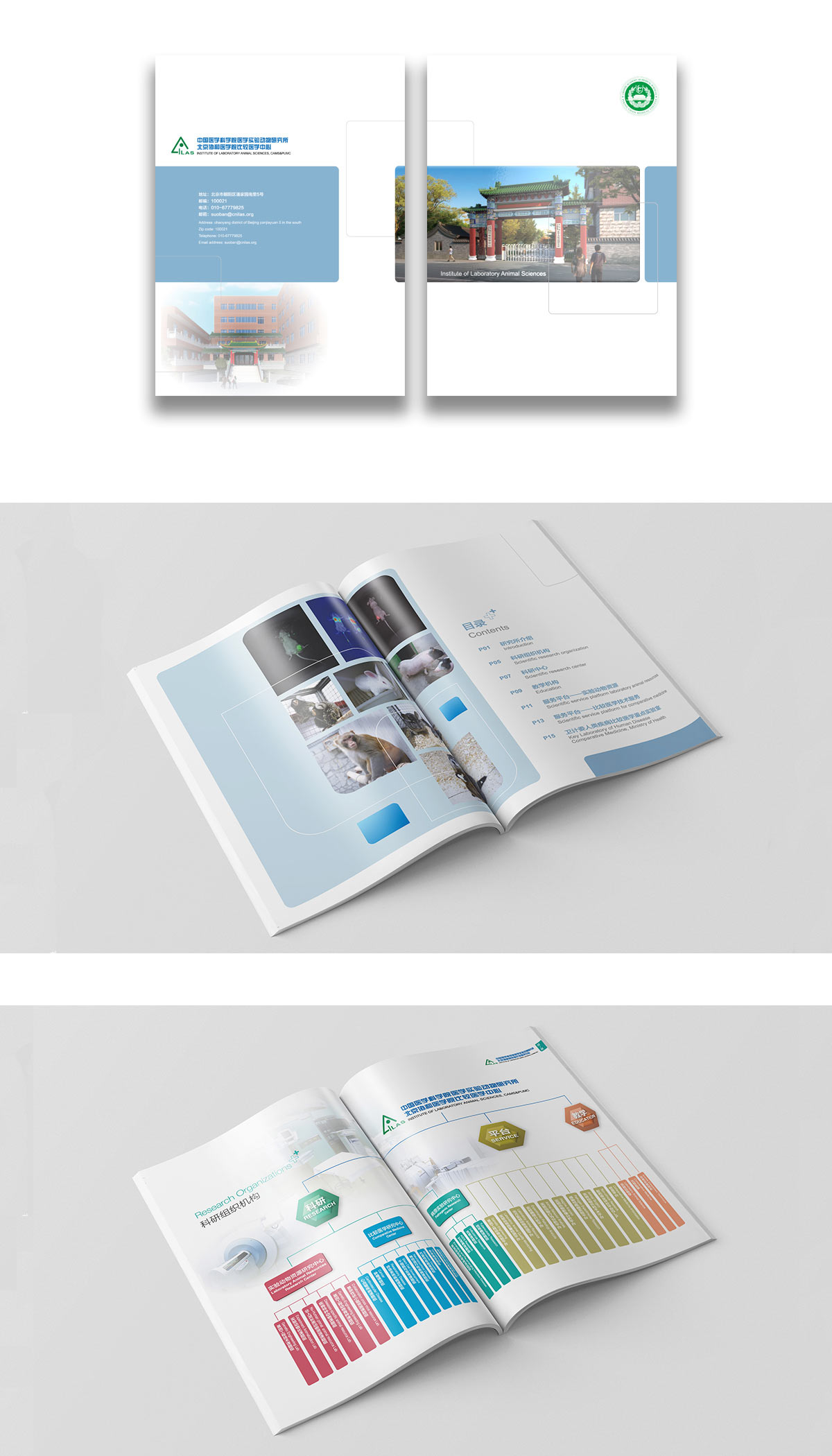 動物研究所畫冊效果圖