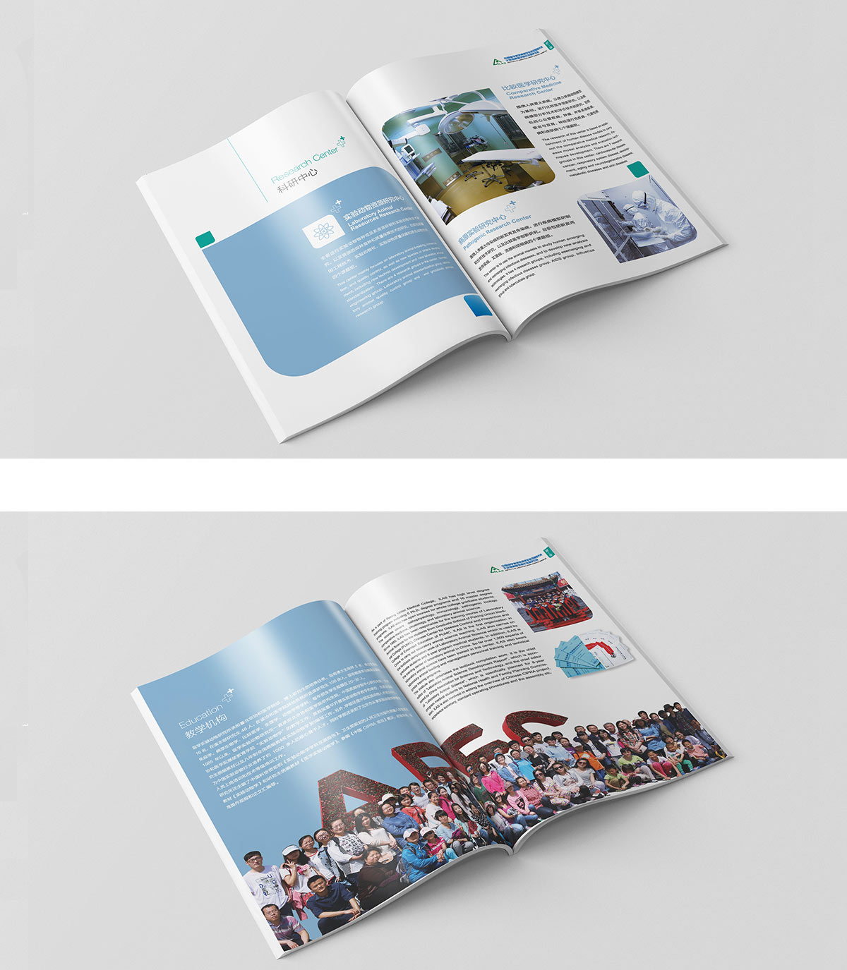 動物研究所畫冊內(nèi)頁